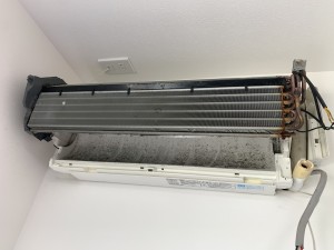 IMG_0148 IMG_0148