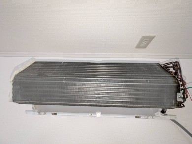 IMG_1786 IMG_17862
