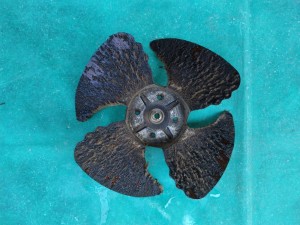 IMG_1836 IMG_18362