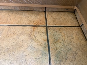 IMG_2028 IMG_20281