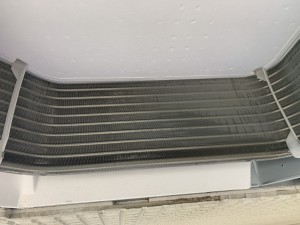 IMG_24273