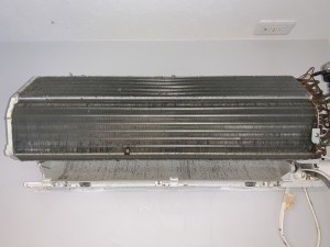IMG_2568