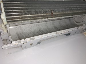 IMG_2569