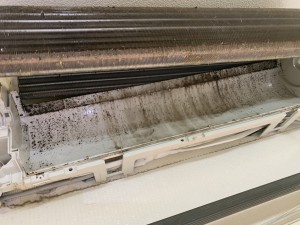 IMG_30791