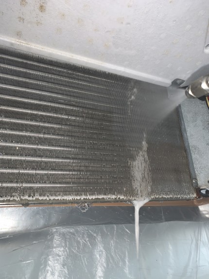 IMG_33201-e1760955747648