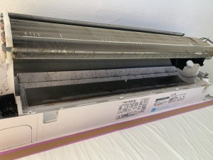 IMG_3355 IMG_33552