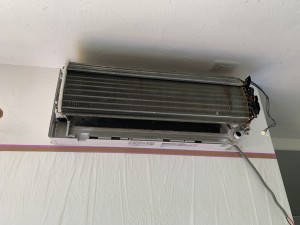 IMG_3356 IMG_33561