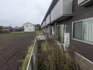 IMG_3381 IMG_33812