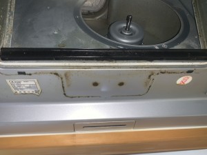 IMG_3390 IMG_33903