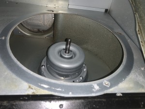 IMG_3391 IMG_33912