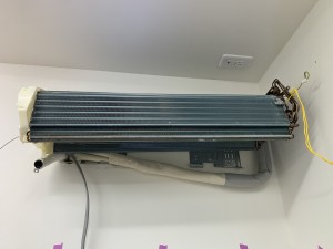 IMG_3432 IMG_34322