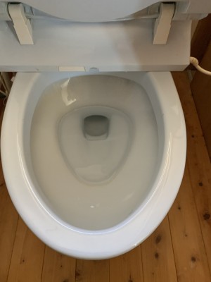 IMG_35471-e1762070910307