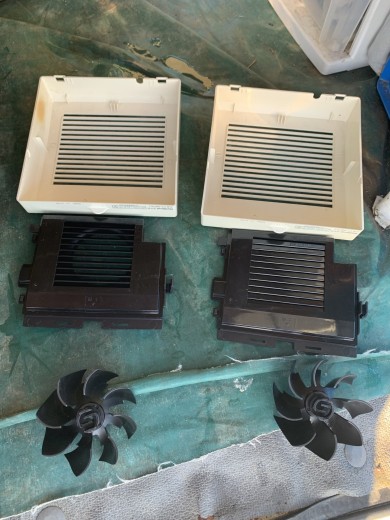 IMG_35712-e1762071198414