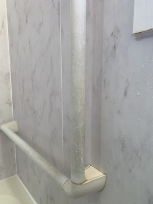 IMG_36391-e1762681995215