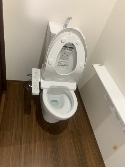 IMG_36942-e1762682519255