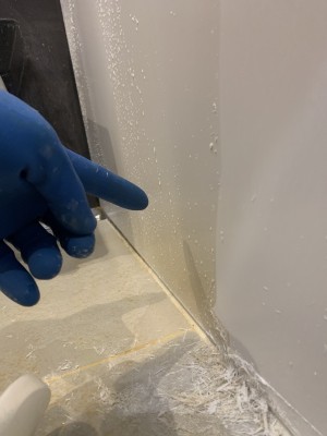 IMG_4943-e1767510354580