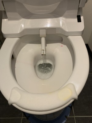 IMG_5113 IMG_5113-e1768646165997