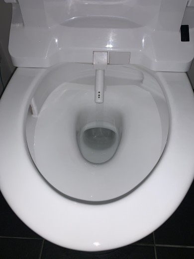 IMG_5115 IMG_51152-e1768646236598