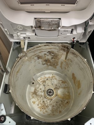 IMG_5154 IMG_5154-e1768646893410