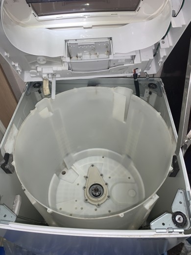 IMG_5155 IMG_51551-e1768646910626