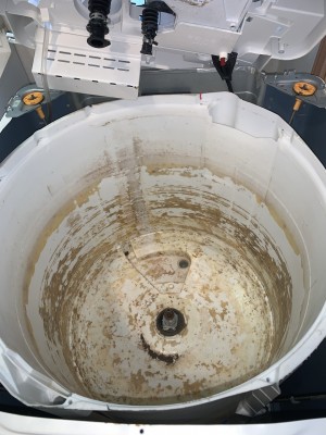 IMG_53423-e1768914789726