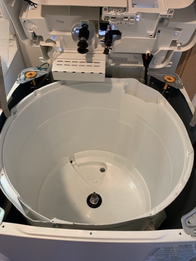 IMG_53452-e1768914836634