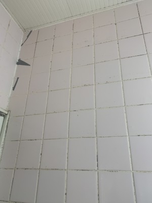 IMG_5462-e1769337164810