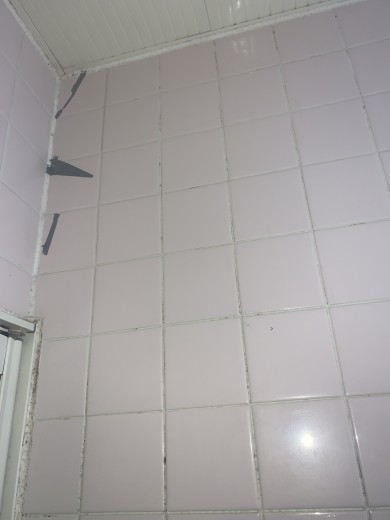 IMG_54651-e1769337192300