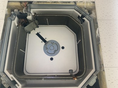 IMG_55021-e1769337464329