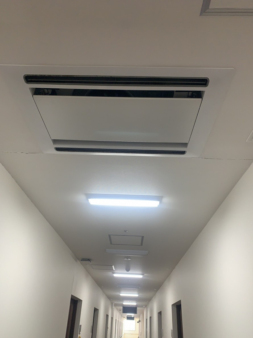 IMG_55484-e1770117275805