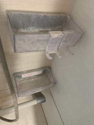 IMG_5663-e1770117798418