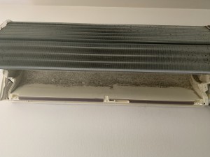 IMG_8022 IMG_80222