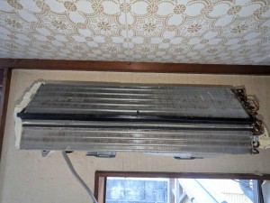 IMG_8035 IMG_80351