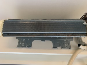 IMG_81162