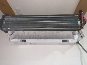 IMG_81442