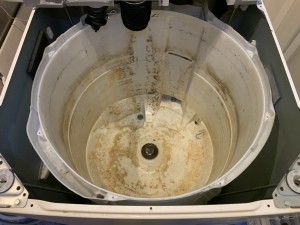 IMG_82032