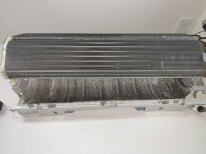 IMG_8264