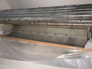 IMG_8314 IMG_83141