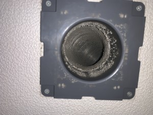 IMG_8369 IMG_8369