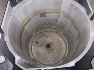 IMG_8370 IMG_83702