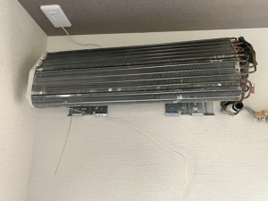 IMG_8425 IMG_84252