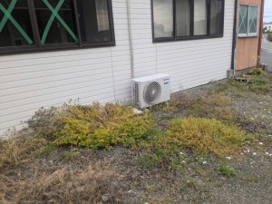 IMG_8889 IMG_88891