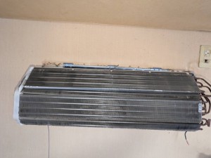 IMG_8899 IMG_88991