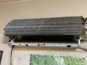 IMG_8982 IMG_89822