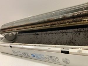 IMG_9104 IMG_91042