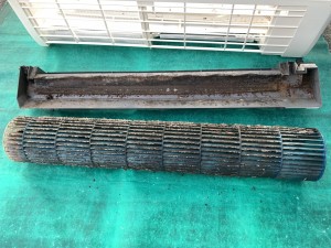 IMG_9107 IMG_91071
