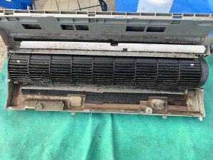 IMG_9160 IMG_91604