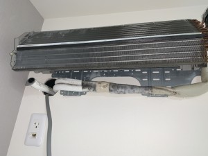 IMG_9163 IMG_91631