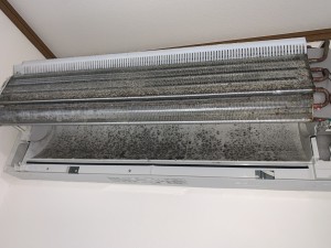 IMG_9267 IMG_92672