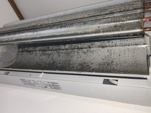IMG_9268 IMG_92681